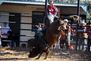 Bucking Bulls Australia Event - Bucking Bulls Australia event, run by Yass Rodeo. Activities such as Bull Riding and Trick Horse Riding occurred during this event. - Captured at Yass Show Society - Rodeo Arena, Yass NSW Australia.