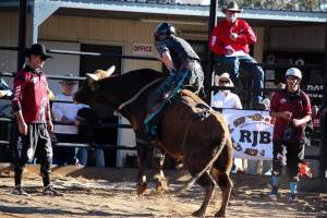 Bucking Bulls Australia Event - Bucking Bulls Australia event, run by Yass Rodeo. Activities such as Bull Riding and Trick Horse Riding occurred during this event. - Captured at Yass Show Society - Rodeo Arena, Yass NSW Australia.