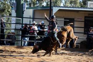 Bucking Bulls Australia Event - Bucking Bulls Australia event, run by Yass Rodeo. Activities such as Bull Riding and Trick Horse Riding occurred during this event. - Captured at Yass Show Society - Rodeo Arena, Yass NSW Australia.