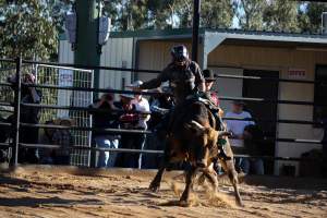 Bucking Bulls Australia Event - Bucking Bulls Australia event, run by Yass Rodeo. Activities such as Bull Riding and Trick Horse Riding occurred during this event. - Captured at Yass Show Society - Rodeo Arena, Yass NSW Australia.