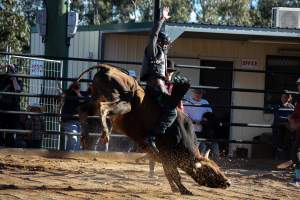 Bucking Bulls Australia Event - Bucking Bulls Australia event, run by Yass Rodeo. Activities such as Bull Riding and Trick Horse Riding occurred during this event. - Captured at Yass Show Society - Rodeo Arena, Yass NSW Australia.