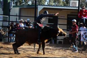 Bucking Bulls Australia Event - Bucking Bulls Australia event, run by Yass Rodeo. Activities such as Bull Riding and Trick Horse Riding occurred during this event. - Captured at Yass Show Society - Rodeo Arena, Yass NSW Australia.