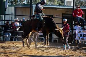 Bucking Bulls Australia Event - Bucking Bulls Australia event, run by Yass Rodeo. Activities such as Bull Riding and Trick Horse Riding occurred during this event. - Captured at Yass Show Society - Rodeo Arena, Yass NSW Australia.