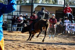 Bucking Bulls Australia Event - Bucking Bulls Australia event, run by Yass Rodeo. Activities such as Bull Riding and Trick Horse Riding occurred during this event. - Captured at Yass Show Society - Rodeo Arena, Yass NSW Australia.