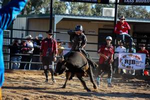 Bucking Bulls Australia Event - Bucking Bulls Australia event, run by Yass Rodeo. Activities such as Bull Riding and Trick Horse Riding occurred during this event. - Captured at Yass Show Society - Rodeo Arena, Yass NSW Australia.