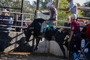 Bucking Bulls Australia Event - Bucking Bulls Australia event, run by Yass Rodeo. Activities such as Bull Riding and Trick Horse Riding occurred during this event. - Captured at Yass Show Society - Rodeo Arena, Yass NSW Australia.