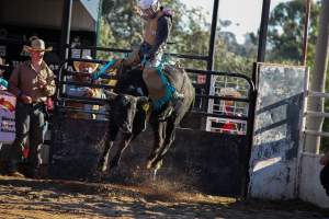 Bucking Bulls Australia Event - Bucking Bulls Australia event, run by Yass Rodeo. Activities such as Bull Riding and Trick Horse Riding occurred during this event. - Captured at Yass Show Society - Rodeo Arena, Yass NSW Australia.