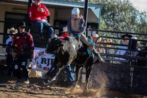 Bucking Bulls Australia Event - Bucking Bulls Australia event, run by Yass Rodeo. Activities such as Bull Riding and Trick Horse Riding occurred during this event. - Captured at Yass Show Society - Rodeo Arena, Yass NSW Australia.