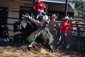Bucking Bulls Australia Event - Bucking Bulls Australia event, run by Yass Rodeo. Activities such as Bull Riding and Trick Horse Riding occurred during this event. - Captured at Yass Show Society - Rodeo Arena, Yass NSW Australia.