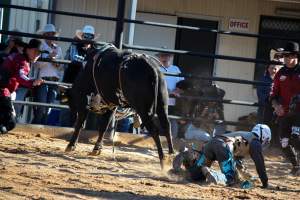 Bucking Bulls Australia Event - Bucking Bulls Australia event, run by Yass Rodeo. Activities such as Bull Riding and Trick Horse Riding occurred during this event. - Captured at Yass Show Society - Rodeo Arena, Yass NSW Australia.