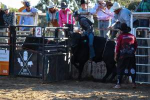 Bucking Bulls Australia Event - Bucking Bulls Australia event, run by Yass Rodeo. Activities such as Bull Riding and Trick Horse Riding occurred during this event. - Captured at Yass Show Society - Rodeo Arena, Yass NSW Australia.