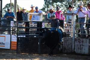 Bucking Bulls Australia Event - Bucking Bulls Australia event, run by Yass Rodeo. Activities such as Bull Riding and Trick Horse Riding occurred during this event. - Captured at Yass Show Society - Rodeo Arena, Yass NSW Australia.
