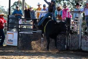 Bucking Bulls Australia Event - Bucking Bulls Australia event, run by Yass Rodeo. Activities such as Bull Riding and Trick Horse Riding occurred during this event. - Captured at Yass Show Society - Rodeo Arena, Yass NSW Australia.