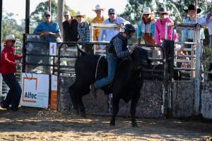 Bucking Bulls Australia Event - Bucking Bulls Australia event, run by Yass Rodeo. Activities such as Bull Riding and Trick Horse Riding occurred during this event. - Captured at Yass Show Society - Rodeo Arena, Yass NSW Australia.