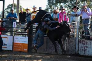 Bucking Bulls Australia Event - Bucking Bulls Australia event, run by Yass Rodeo. Activities such as Bull Riding and Trick Horse Riding occurred during this event. - Captured at Yass Show Society - Rodeo Arena, Yass NSW Australia.