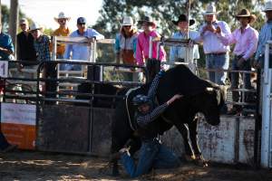 Bucking Bulls Australia Event - Bucking Bulls Australia event, run by Yass Rodeo. Activities such as Bull Riding and Trick Horse Riding occurred during this event. - Captured at Yass Show Society - Rodeo Arena, Yass NSW Australia.