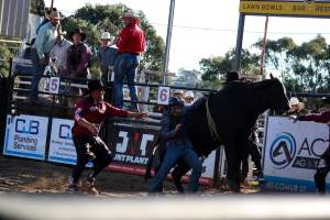 Bucking Bulls Australia Event - Bucking Bulls Australia event, run by Yass Rodeo. Activities such as Bull Riding and Trick Horse Riding occurred during this event. - Captured at Yass Show Society - Rodeo Arena, Yass NSW Australia.