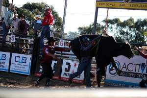 Bucking Bulls Australia Event - Bucking Bulls Australia event, run by Yass Rodeo. Activities such as Bull Riding and Trick Horse Riding occurred during this event. - Captured at Yass Show Society - Rodeo Arena, Yass NSW Australia.