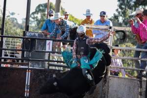 Bucking Bulls Australia Event - Bucking Bulls Australia event, run by Yass Rodeo. Activities such as Bull Riding and Trick Horse Riding occurred during this event. - Captured at Yass Show Society - Rodeo Arena, Yass NSW Australia.