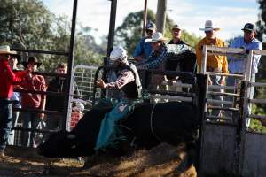 Bucking Bulls Australia Event - Bucking Bulls Australia event, run by Yass Rodeo. Activities such as Bull Riding and Trick Horse Riding occurred during this event. - Captured at Yass Show Society - Rodeo Arena, Yass NSW Australia.
