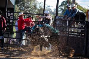 Bucking Bulls Australia Event - Bucking Bulls Australia event, run by Yass Rodeo. Activities such as Bull Riding and Trick Horse Riding occurred during this event. - Captured at Yass Show Society - Rodeo Arena, Yass NSW Australia.