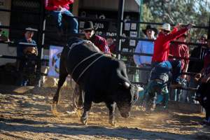 Bucking Bulls Australia Event - Bucking Bulls Australia event, run by Yass Rodeo. Activities such as Bull Riding and Trick Horse Riding occurred during this event. - Captured at Yass Show Society - Rodeo Arena, Yass NSW Australia.