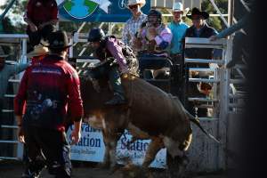 Bucking Bulls Australia Event - Bucking Bulls Australia event, run by Yass Rodeo. Activities such as Bull Riding and Trick Horse Riding occurred during this event. - Captured at Yass Show Society - Rodeo Arena, Yass NSW Australia.