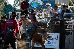 Bucking Bulls Australia Event - Bucking Bulls Australia event, run by Yass Rodeo. Activities such as Bull Riding and Trick Horse Riding occurred during this event. - Captured at Yass Show Society - Rodeo Arena, Yass NSW Australia.