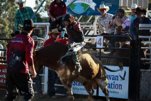 Bucking Bulls Australia Event - Bucking Bulls Australia event, run by Yass Rodeo. Activities such as Bull Riding and Trick Horse Riding occurred during this event. - Captured at Yass Show Society - Rodeo Arena, Yass NSW Australia.