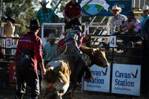 Bucking Bulls Australia Event - Bucking Bulls Australia event, run by Yass Rodeo. Activities such as Bull Riding and Trick Horse Riding occurred during this event. - Captured at Yass Show Society - Rodeo Arena, Yass NSW Australia.