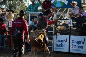 Bucking Bulls Australia Event - Bucking Bulls Australia event, run by Yass Rodeo. Activities such as Bull Riding and Trick Horse Riding occurred during this event. - Captured at Yass Show Society - Rodeo Arena, Yass NSW Australia.