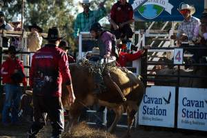 Bucking Bulls Australia Event - Bucking Bulls Australia event, run by Yass Rodeo. Activities such as Bull Riding and Trick Horse Riding occurred during this event. - Captured at Yass Show Society - Rodeo Arena, Yass NSW Australia.