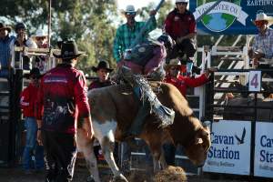 Bucking Bulls Australia Event - Bucking Bulls Australia event, run by Yass Rodeo. Activities such as Bull Riding and Trick Horse Riding occurred during this event. - Captured at Yass Show Society - Rodeo Arena, Yass NSW Australia.