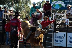 Bucking Bulls Australia Event - Bucking Bulls Australia event, run by Yass Rodeo. Activities such as Bull Riding and Trick Horse Riding occurred during this event. - Captured at Yass Show Society - Rodeo Arena, Yass NSW Australia.