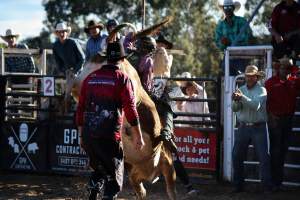 Bucking Bulls Australia Event - Bucking Bulls Australia event, run by Yass Rodeo. Activities such as Bull Riding and Trick Horse Riding occurred during this event. - Captured at Yass Show Society - Rodeo Arena, Yass NSW Australia.