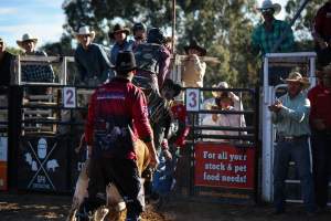 Bucking Bulls Australia Event - Bucking Bulls Australia event, run by Yass Rodeo. Activities such as Bull Riding and Trick Horse Riding occurred during this event. - Captured at Yass Show Society - Rodeo Arena, Yass NSW Australia.