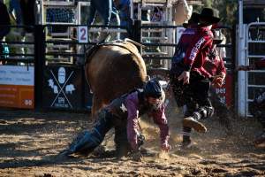 Bucking Bulls Australia Event - Bucking Bulls Australia event, run by Yass Rodeo. Activities such as Bull Riding and Trick Horse Riding occurred during this event. - Captured at Yass Show Society - Rodeo Arena, Yass NSW Australia.