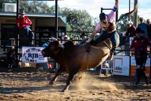 Bucking Bulls Australia Event - Bucking Bulls Australia event, run by Yass Rodeo. Activities such as Bull Riding and Trick Horse Riding occurred during this event. - Captured at Yass Show Society - Rodeo Arena, Yass NSW Australia.