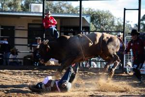 Bucking Bulls Australia Event - Bucking Bulls Australia event, run by Yass Rodeo. Activities such as Bull Riding and Trick Horse Riding occurred during this event. - Captured at Yass Show Society - Rodeo Arena, Yass NSW Australia.