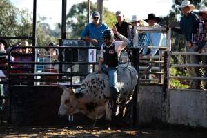 Bucking Bulls Australia Event - Bucking Bulls Australia event, run by Yass Rodeo. Activities such as Bull Riding and Trick Horse Riding occurred during this event. - Captured at Yass Show Society - Rodeo Arena, Yass NSW Australia.