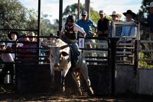 Bucking Bulls Australia Event - Bucking Bulls Australia event, run by Yass Rodeo. Activities such as Bull Riding and Trick Horse Riding occurred during this event. - Captured at Yass Show Society - Rodeo Arena, Yass NSW Australia.