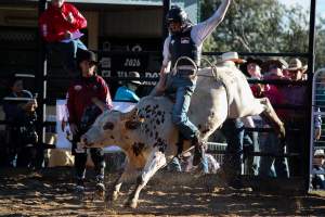 Bucking Bulls Australia Event - Bucking Bulls Australia event, run by Yass Rodeo. Activities such as Bull Riding and Trick Horse Riding occurred during this event. - Captured at Yass Show Society - Rodeo Arena, Yass NSW Australia.