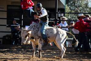 Bucking Bulls Australia Event - Bucking Bulls Australia event, run by Yass Rodeo. Activities such as Bull Riding and Trick Horse Riding occurred during this event. - Captured at Yass Show Society - Rodeo Arena, Yass NSW Australia.