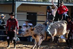 Bucking Bulls Australia Event - Bucking Bulls Australia event, run by Yass Rodeo. Activities such as Bull Riding and Trick Horse Riding occurred during this event. - Captured at Yass Show Society - Rodeo Arena, Yass NSW Australia.