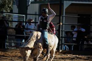Bucking Bulls Australia Event - Bucking Bulls Australia event, run by Yass Rodeo. Activities such as Bull Riding and Trick Horse Riding occurred during this event. - Captured at Yass Show Society - Rodeo Arena, Yass NSW Australia.