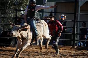 Bucking Bulls Australia Event - Bucking Bulls Australia event, run by Yass Rodeo. Activities such as Bull Riding and Trick Horse Riding occurred during this event. - Captured at Yass Show Society - Rodeo Arena, Yass NSW Australia.