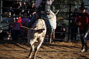 Bucking Bulls Australia Event - Bucking Bulls Australia event, run by Yass Rodeo. Activities such as Bull Riding and Trick Horse Riding occurred during this event. - Captured at Yass Show Society - Rodeo Arena, Yass NSW Australia.