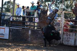 Bucking Bulls Australia Event - Bucking Bulls Australia event, run by Yass Rodeo. Activities such as Bull Riding and Trick Horse Riding occurred during this event. - Captured at Yass Show Society - Rodeo Arena, Yass NSW Australia.