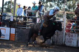Bucking Bulls Australia Event - Bucking Bulls Australia event, run by Yass Rodeo. Activities such as Bull Riding and Trick Horse Riding occurred during this event. - Captured at Yass Show Society - Rodeo Arena, Yass NSW Australia.