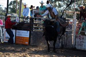 Bucking Bulls Australia Event - Bucking Bulls Australia event, run by Yass Rodeo. Activities such as Bull Riding and Trick Horse Riding occurred during this event. - Captured at Yass Show Society - Rodeo Arena, Yass NSW Australia.